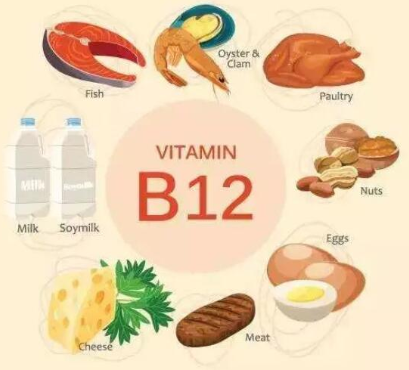 人體維生素檢測儀分析維生素B12